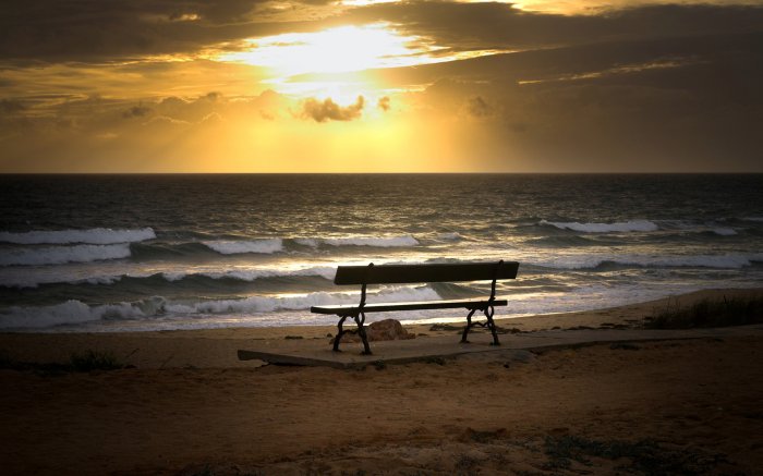 Bench on the shore of the sea