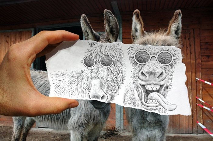 A painted cartoon for two donkeys