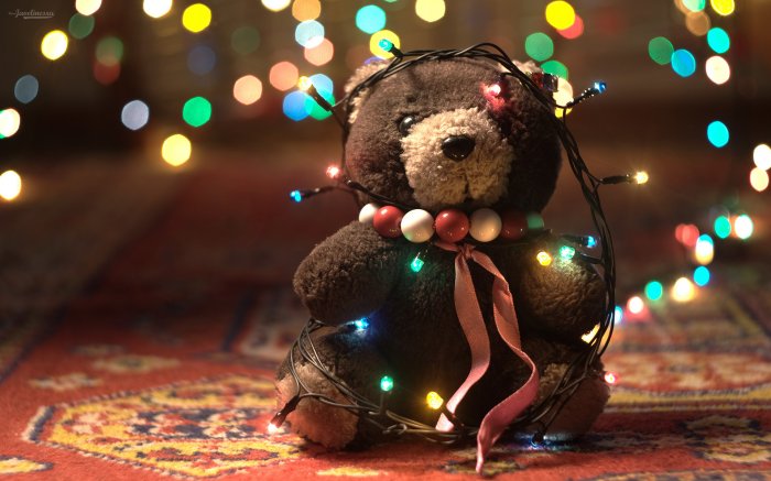 Beloved Teddy bear from earliest childhood