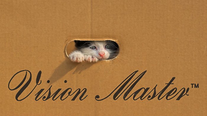 Котенок в бумажной коробке