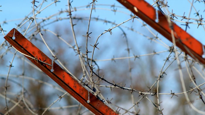 Aartistic bends for barbed wire