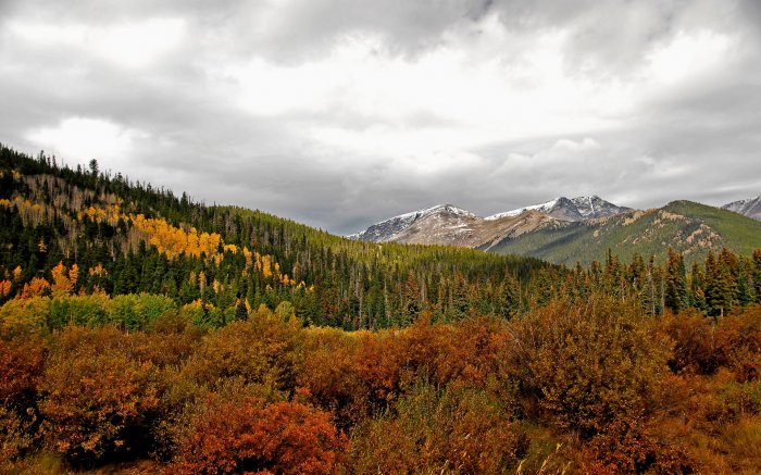 Autumn mountains dotted with forest