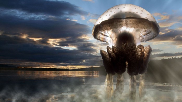 The Nuclear jellyfish