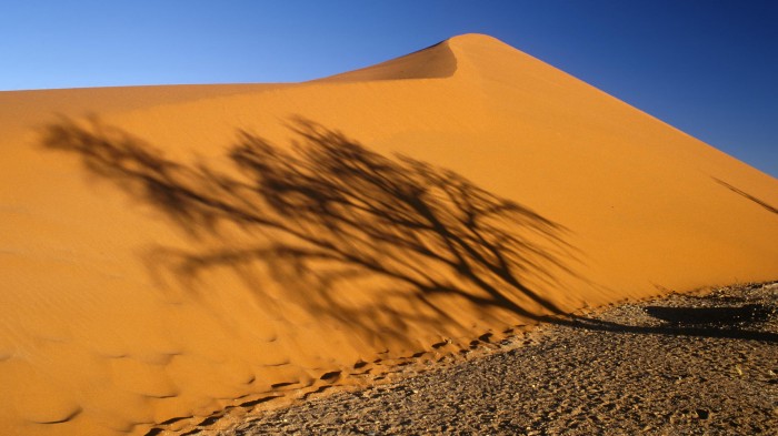 Огромный бархан на краю пустыни