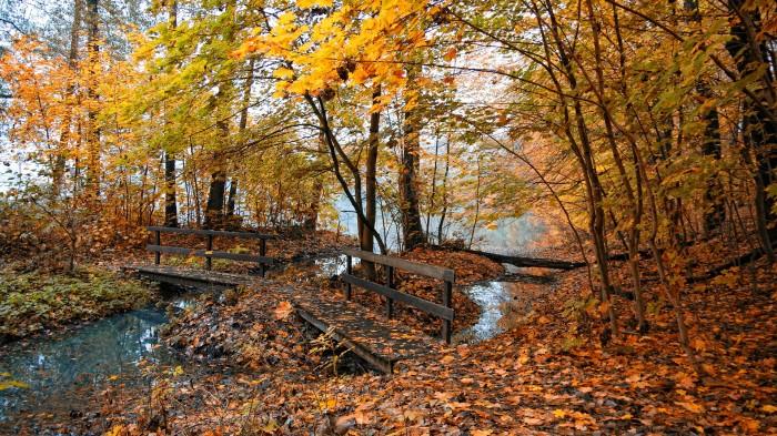 Autumn bridge over the stream