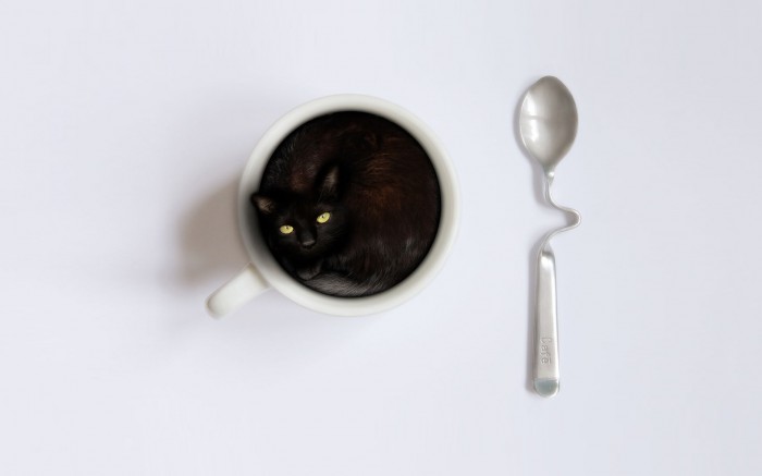 Кофе из черного кота