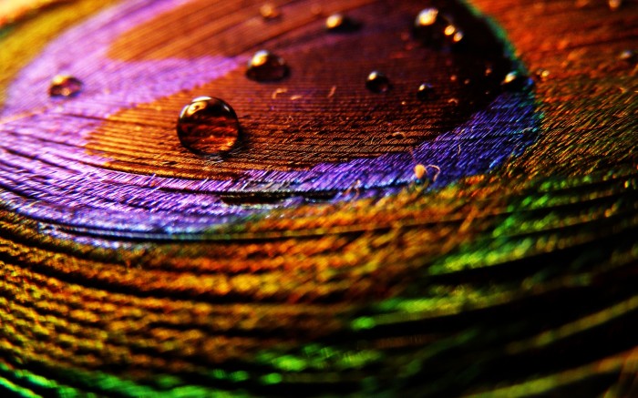 Colored texture with drops