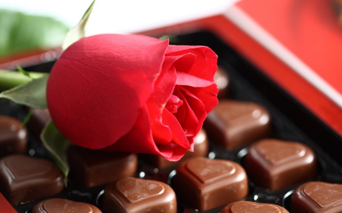 Красная роза и шоколад
