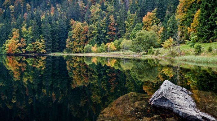 Siberian lake in the forest