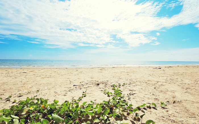 Deserted sandy shore