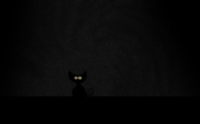 Absolutely black cat in a black room