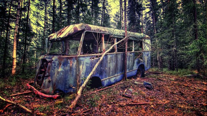 A forgotten bus at the edge of the forest