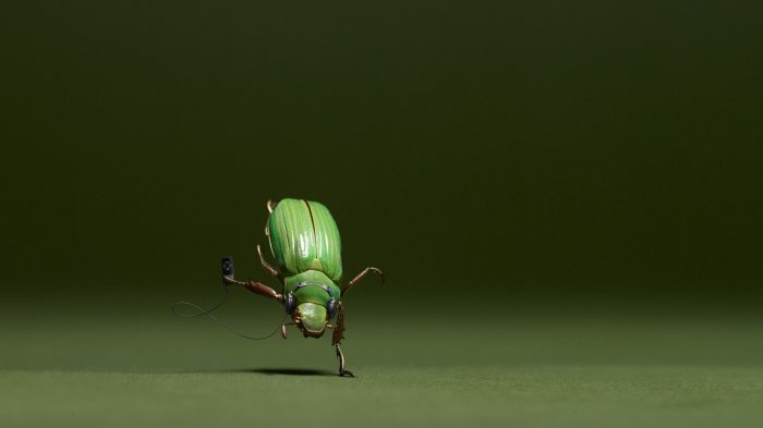 The green beetle is a music love