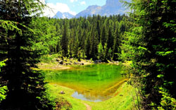 Красивое озеро в лесу