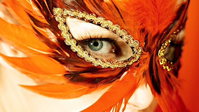 Beautiful carnival mask