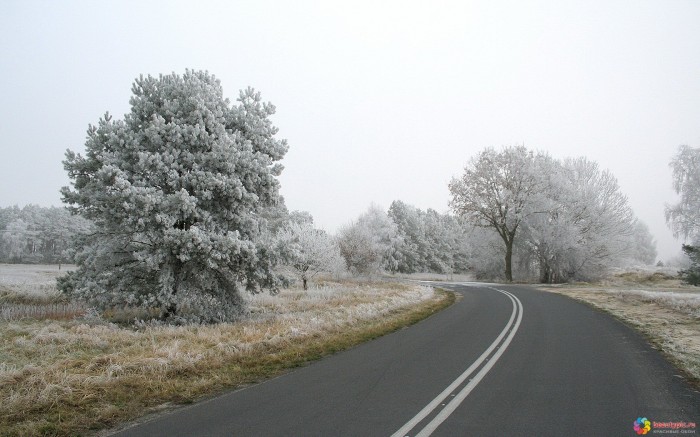 The first frost on a country road