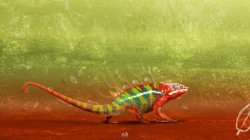 Red-green chameleon