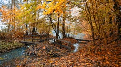 Осенний мостик