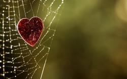 Heart in a spiderweb