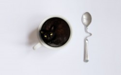 Черный кошачий кофе