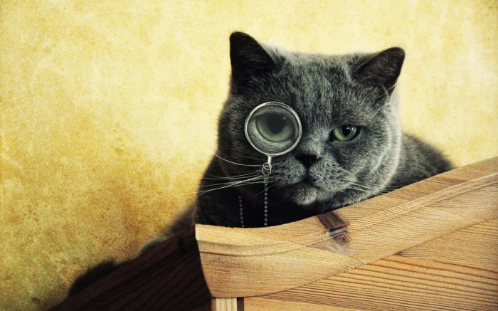 Clever cat with a monocle