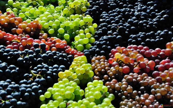 Разноцветный вкусный виноград