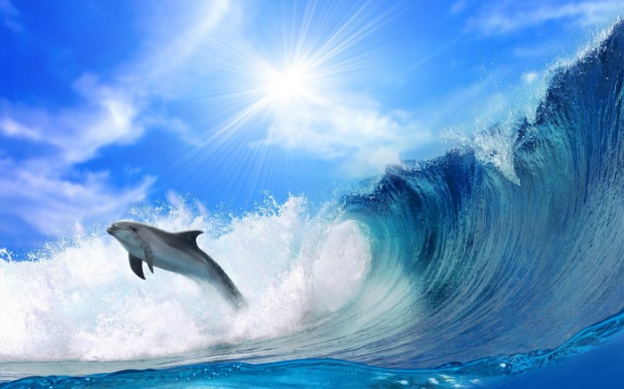 Веселый дельфин на волнах прибоя