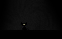 Black cat in a black room
