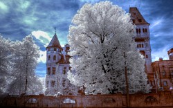 Winter castle