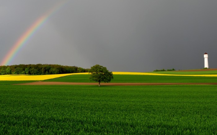 Multicolored rainbow over the field
