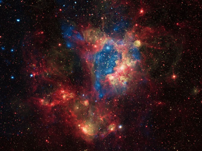 Stars in Magellanic Cloud
