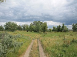 Trans-Urals landscape