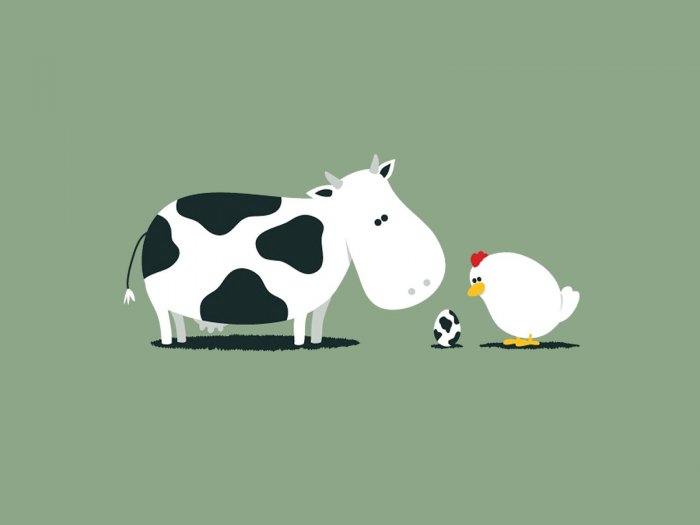 Whether the cow laid the egg?